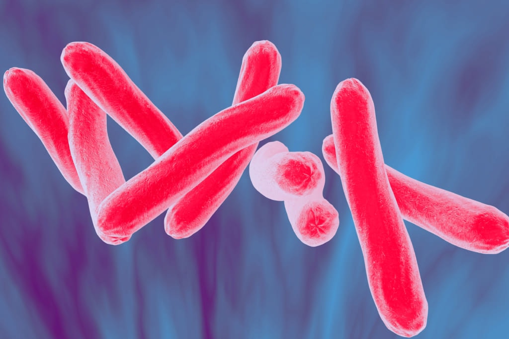 bacteria